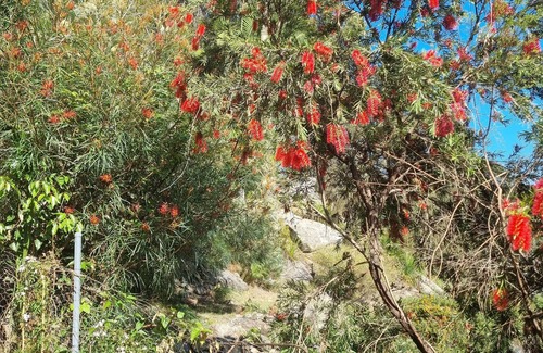 Umina Beach House | Magical retreat where bush meets beach