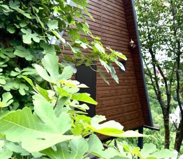 Tsikhisdziri House | Magical space Tsikhisdziri