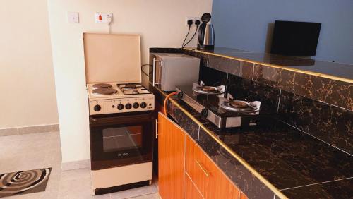 Nyeri Apartment | MaGiK Furnished All Ensuite 2 bedroom Apartment