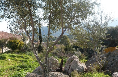 Marine de Saint Ambroggio House | MAGNIFICENT 3 BEDROOM HOUSE WITH SEA AND MOUNTAIN VIEW