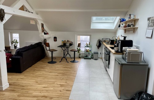 Quartier de la Folie-Mericourt Apartment | magnificent loft located in the trendy 11th district.
