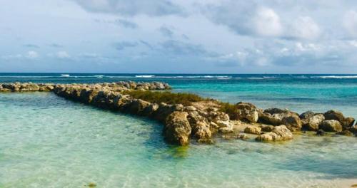 Sainte-Anne Apartment | Magnifique Appartement Fleurs Caraïbes - 6 personnes en résidence avec piscine privée - Sainte Anne