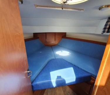 Bazolles Boat Rental | Magnifique bateau au coeur du Nivernais à l'étang de BAYE