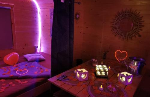 Pruniers-en-Sologne Other | Magnifique chalet Atypique avec Spa sous bulle privatif