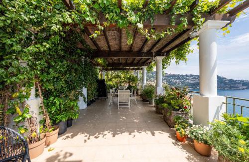 Roquebrune-Cap-Martin Apartment | Magnifique Pool house avec piscine privée 10 minutes de Monaco Monte-Carlo
