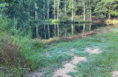 Lucedale Cabin | Magnolia Cabin - Peaceful, Relaxing Getaway Nestled on the Farm