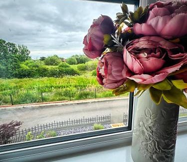 Nantwich House | Magnolia House