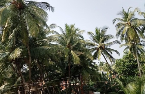 Devbag House | Mahalaxmi home stay Tarkarli devbag