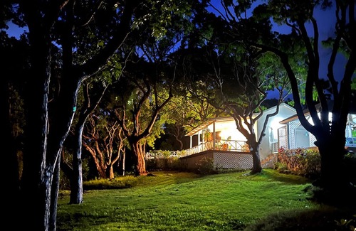Sion Hill House | Mahogany Grove Villa in nature with private pool