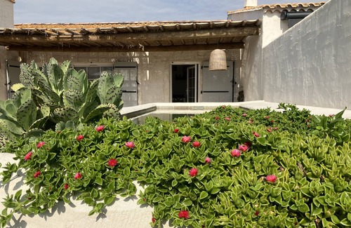 Saintes-Maries-de-la-Mer House | Maison en Camargue à 5 mn des Saintes Maries de la Mer Avec Bassin D'agrément