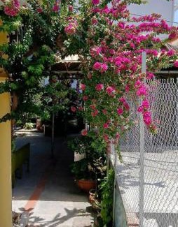 Van Don Hotel | Mai Homestay Quan Lạn