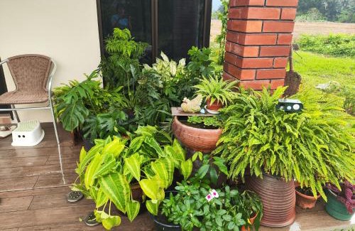 Kampung Terang House | Mai Paddy Cottage, Balik Pulau