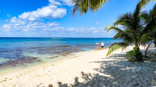 Costa Maya Hotel | Maia Suites Cozumel