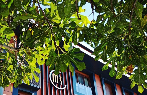 Eceabat Hotel | Maidos Suites