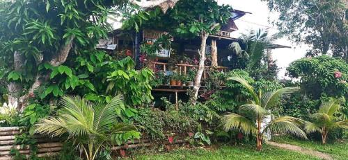 Puerto Narino House | Maiku Amazonas