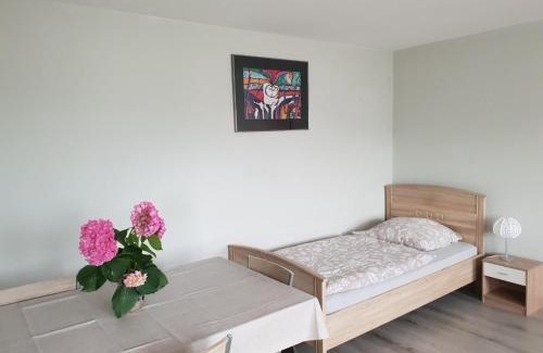 Wertheim Apartment | Mainzimmer Business Appartment - Monteurwohnung mit Burgblick