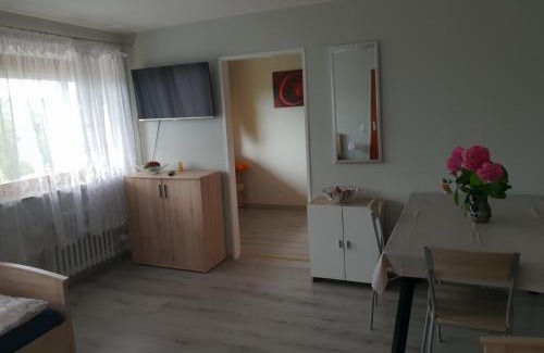 Wertheim Apartment | Mainzimmer Business Appartment - Monteurwohnung mit Burgblick