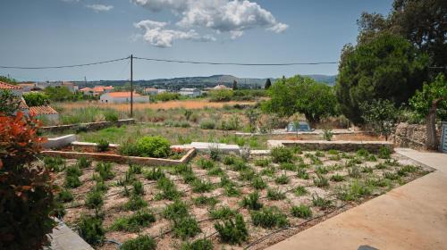 Kithira House | Maira Arch House