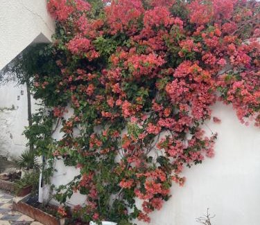 Jbal Lahmar Apartment | Maison à El Omrane .