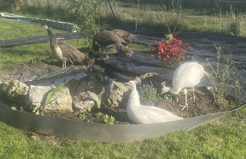 Puchay House | Maison à la Campagne La Poussinière