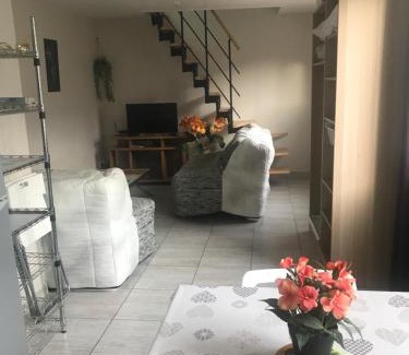 Fleury-les-Aubrais House | Maison à Orléans avec jardin