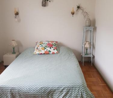 Cessenaz House | Maison 100m2, espaces verts, 8 min à pied du lac, piste cyclable