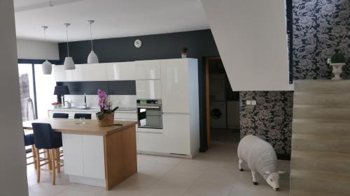 Le Mans House | Maison 24H du Mans pour Chambres