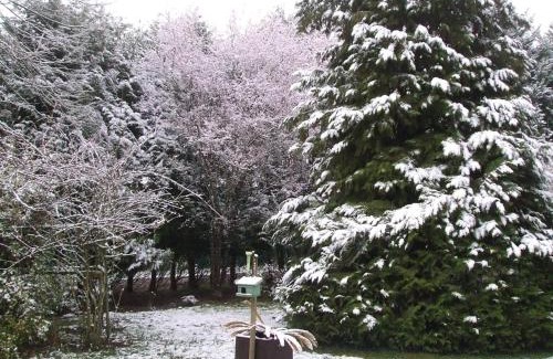Chateauvieux House | Maison 8 min du Zoo de Beauval, jardin, cheminée, tout inclus, proche Châteaux de la Loire - FR-1-491-429