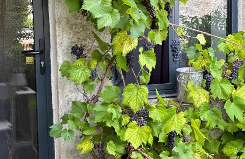 Annay-sur-Serein House | Maison au bord de l’eau
