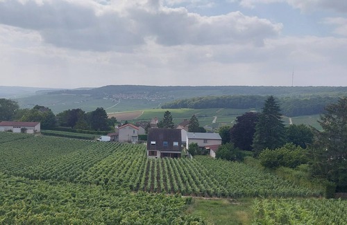 Champillon House | Maison au Coeur du Vignoble Champenois