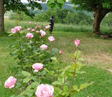 Araujuzon Bed & Breakfast | Maison Aurelia