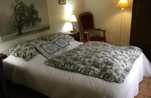 Souvigny-de-Touraine House | Maison Authentique avec Parc, Cheminée et Équipements Modernes au Cœur de la Vallée de la Loire - FR-1-381-468