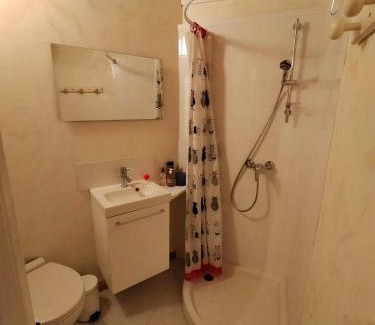 Craponne-sur-Arzon House | Maison Centre Village
