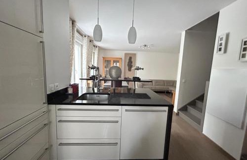 Puteaux Villa | Maison Cesalyna