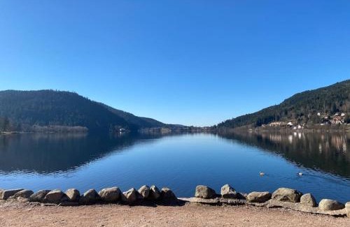 Gerardmer House | Maison chaleureuse avec cheminée bord de rivière