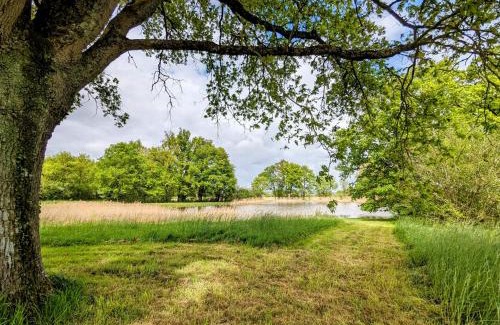Saulnay House | Maison Charmante avec Étang Privé au Cœur du Berry - FR-1-591-86
