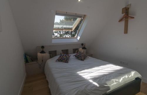 Le Palais House | Maison contemporaine indépendante, proche plage et centre-ville, 4*, animaux acceptés, avec WIFI - FR-1-418-124