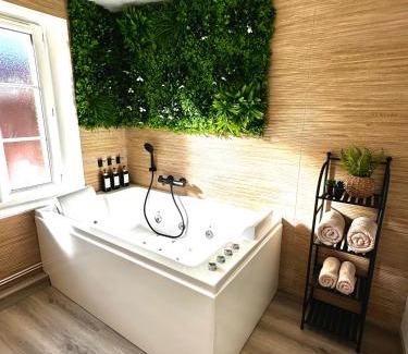 Dammartin-en-Goele Apartment | Maison cosy jungle urbaine