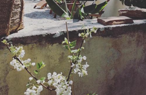 Valreas Bed & Breakfast | Maison d'Anvers