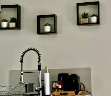 ZAC Andromede Apartment | Maison d'hôtes chic à Beauzelle