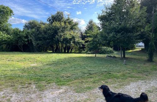 Saint-Guen Bed & Breakfast | Maison d'Hôtes Ty Belle