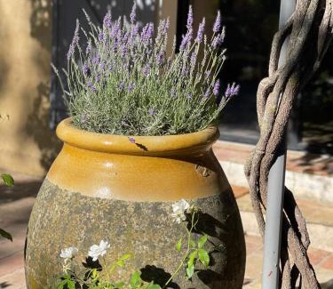Gassin House | Maison de Charme au Milieu des Vignes avec Jardin et Parking à Gassin, près de Saint-Tropez