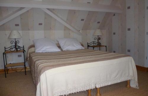 Cour-Cheverny House | Maison de charme avec jardin clos, animaux acceptés, près de Cheverny, tout confort inclus - FR-1-491-387