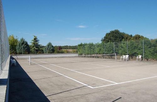 Faverolles House | Maison de Charme avec Piscine Chauffée et Tennis à Proximité du Zoo de Beauval - FR-1-591-26