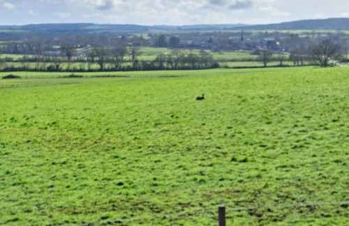 Nonant-le-Pin House | Maison de charme en campagne, 5 min du haras du pin