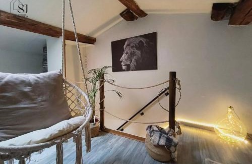 Les Roches-de-Condrieu Villa | Maison de village avec terrasse et espace de plaisance au bords du Rhône