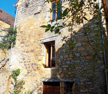 Domme House | Maison de la Ruelle au cœur de la Bastide de Domme avec cour terrasse