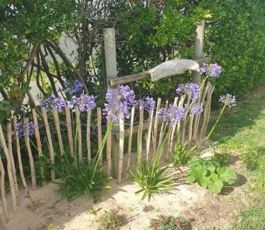 Saint-Pierre-d'Oleron House | Maison de vacances : Bord de mer