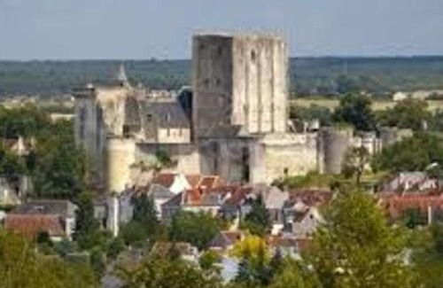 Faverolles House | Maison de vacances avec grande piscine et tennis, proche du Zoo de Beauval et des Châteaux de la Loire - FR-1-591-47