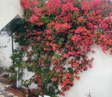 Jbal Lahmar Apartment | Maison El Omrane 2